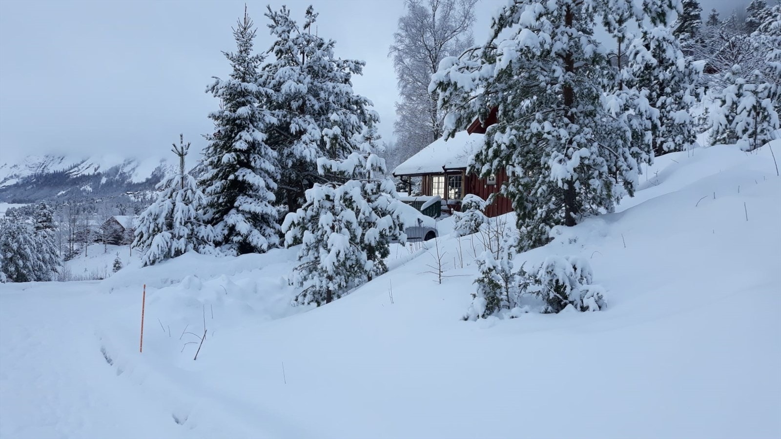 Selgers egne bilder (12).jpg Galleribilde