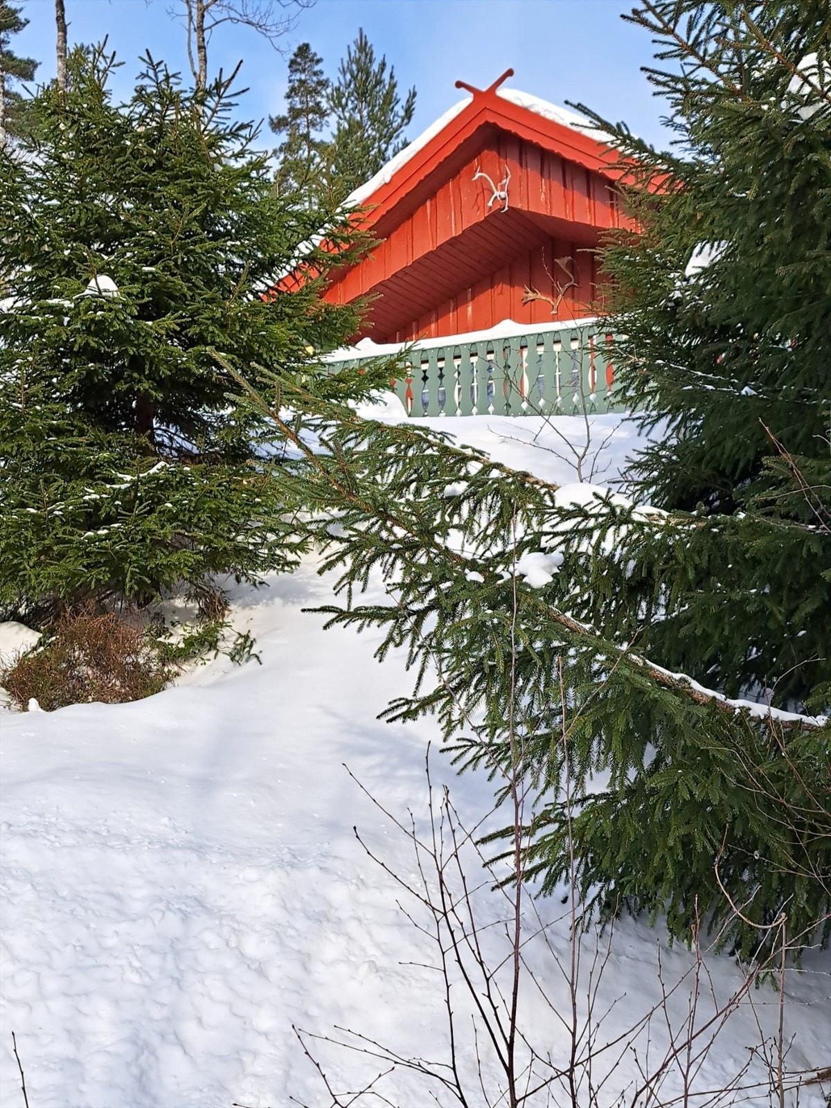 Selgers egne bilder (6).jpg Galleribilde