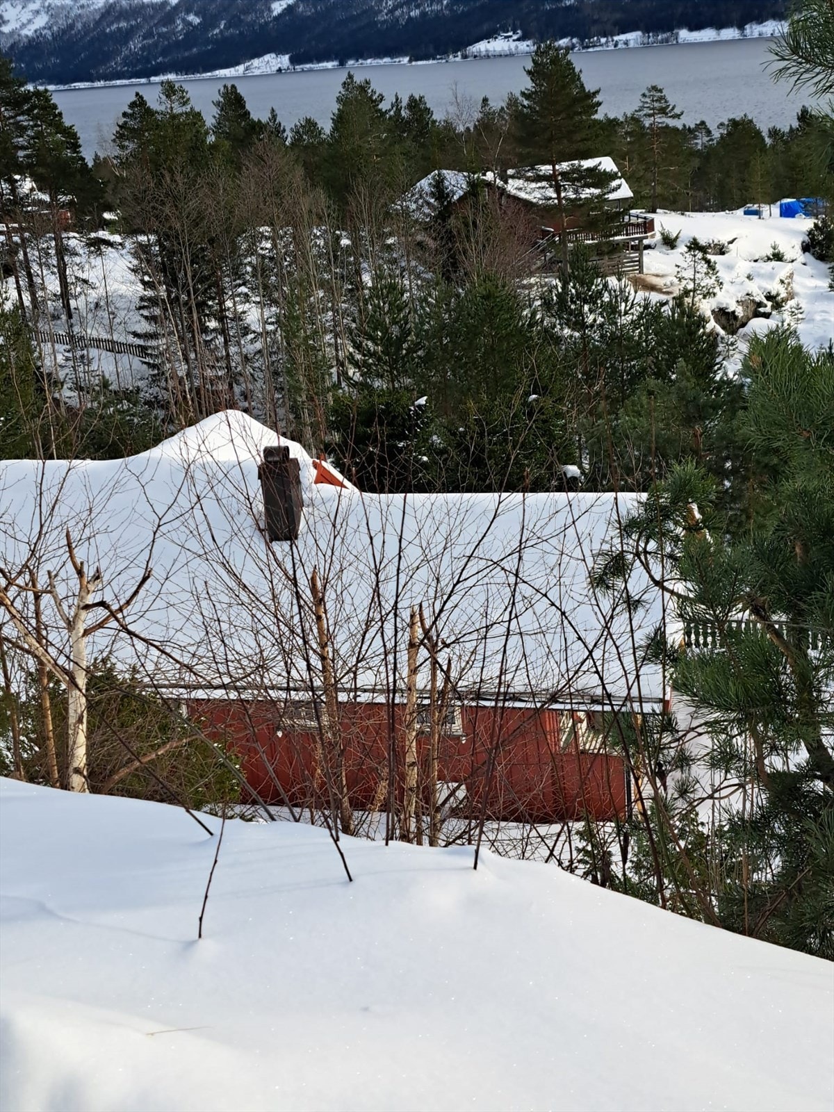 Selgers egne bilder (7).jpg Galleribilde