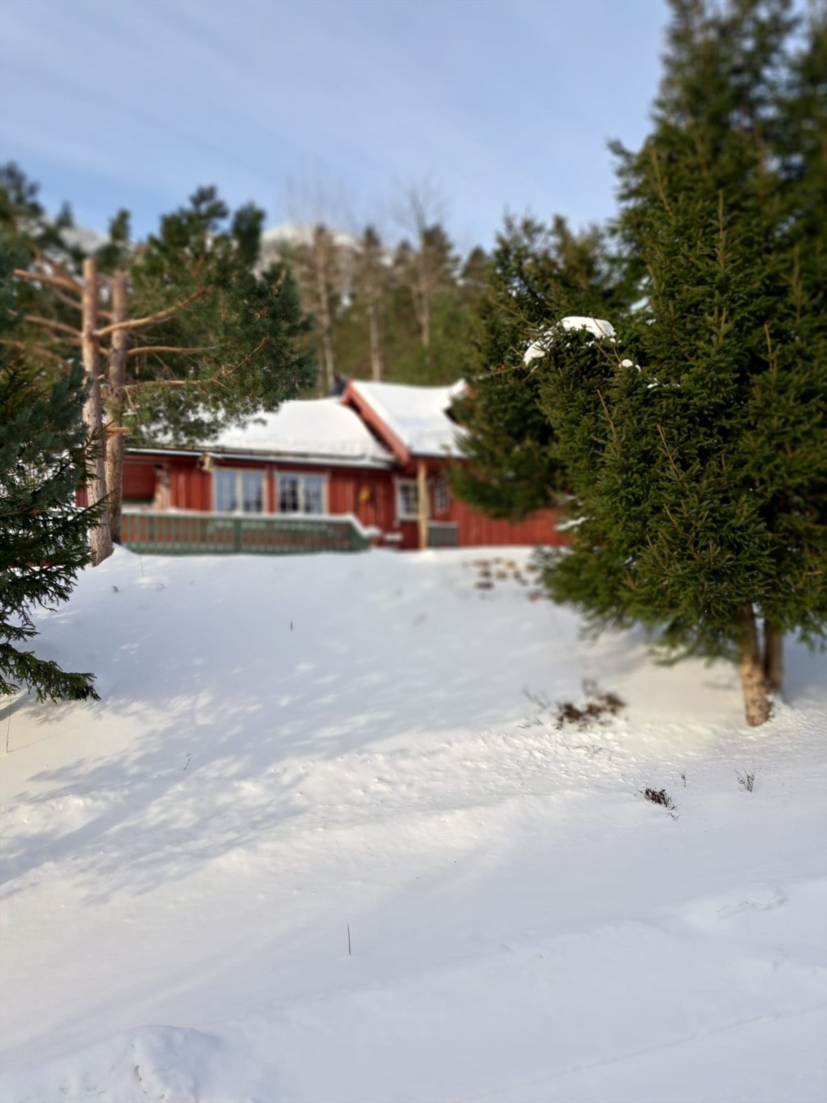 Selgers egne bilder (1).jpg Galleribilde