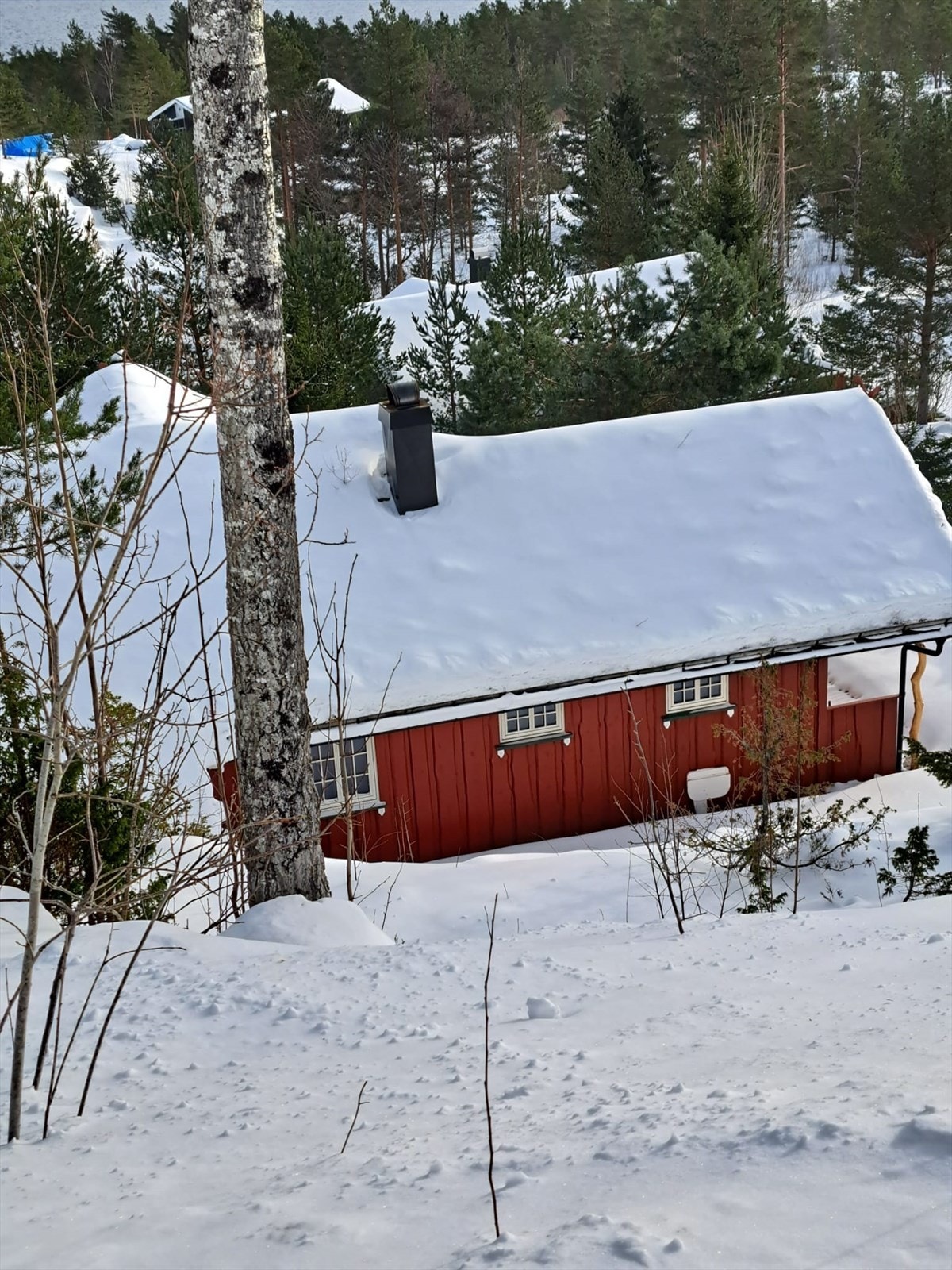 Selgers egne bilder (9).jpg Galleribilde