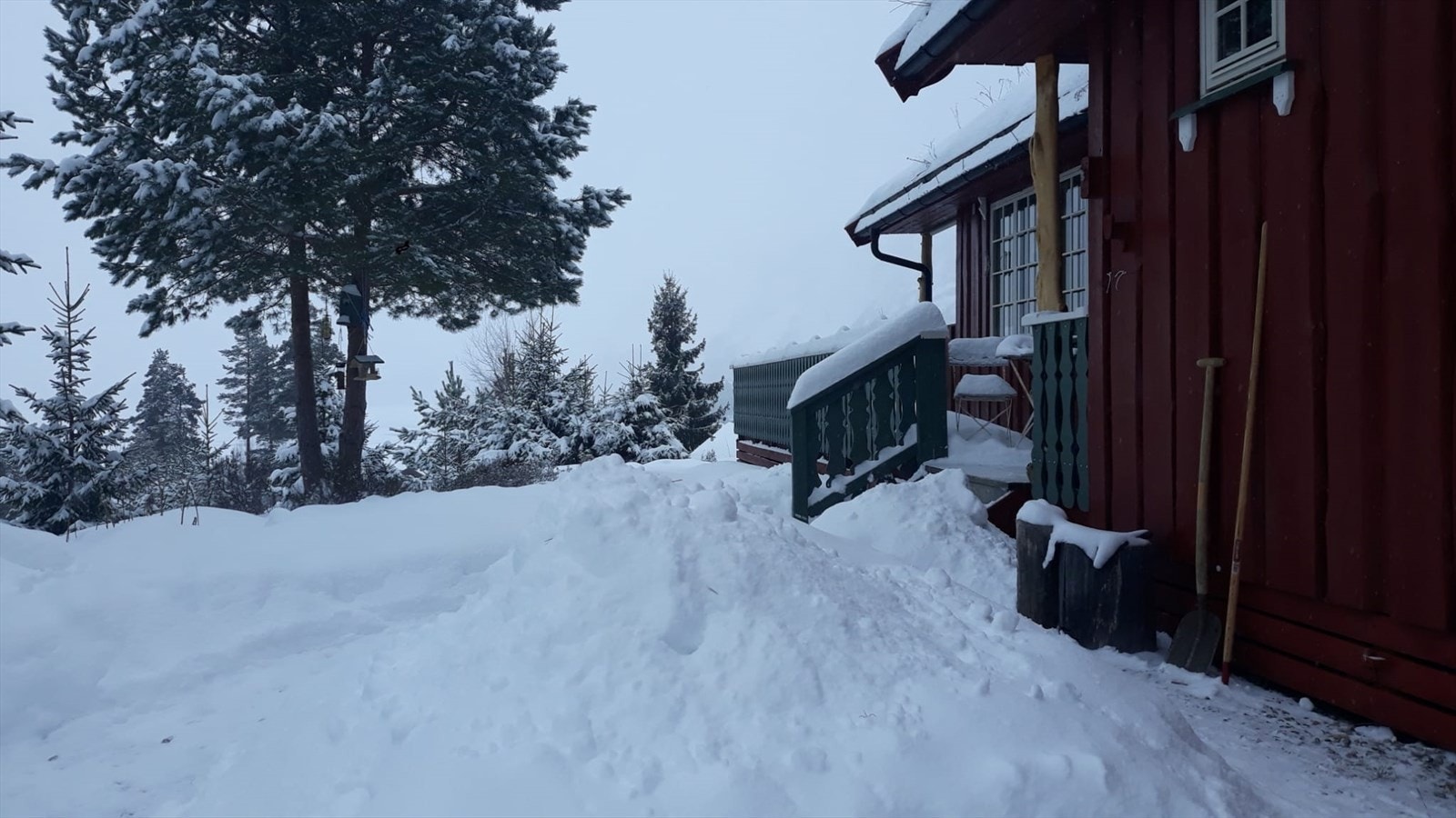 Selgers egne bilder (11).jpg Galleribilde