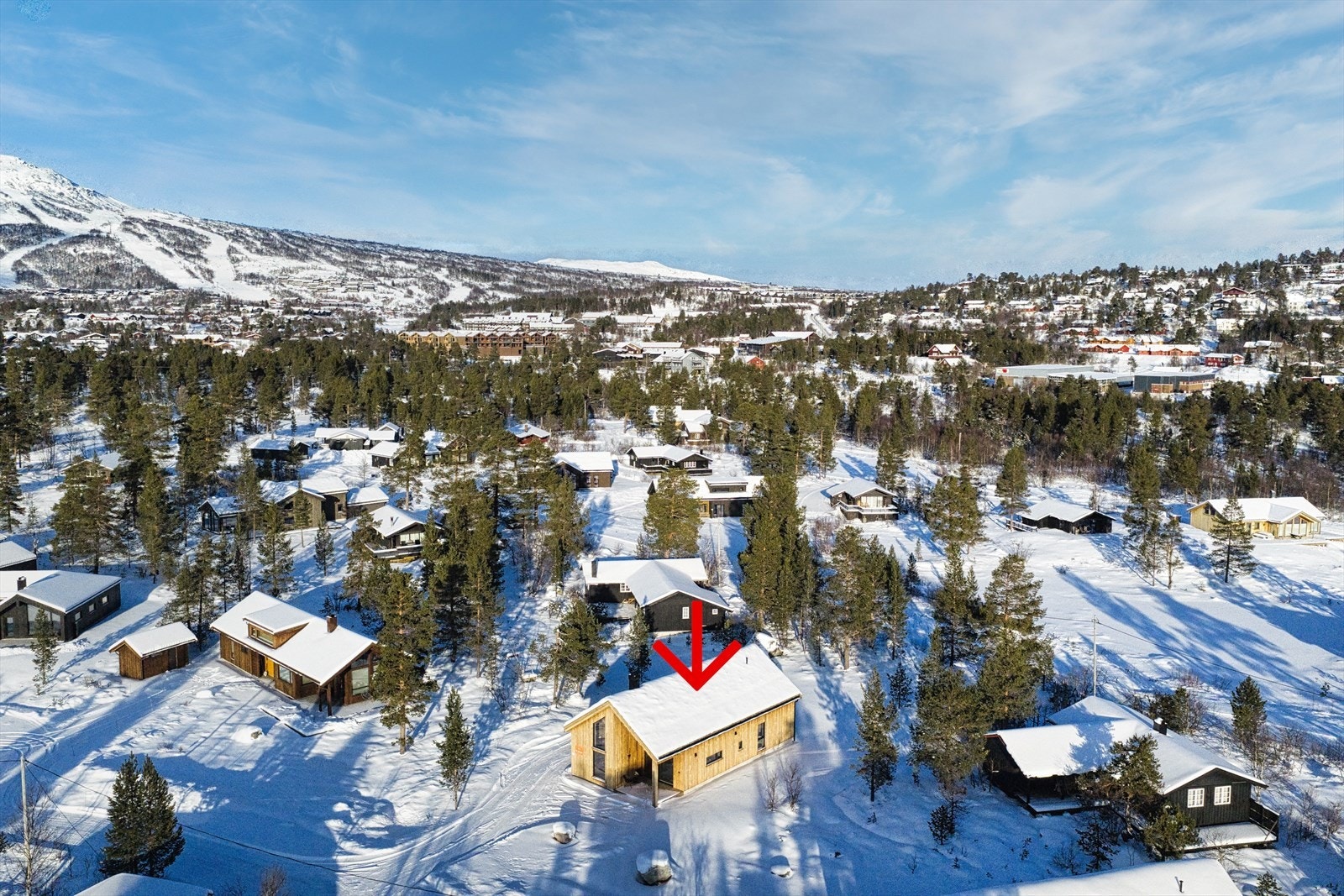 DJI_20260126003521_0109_D.jpeg Galleribilde