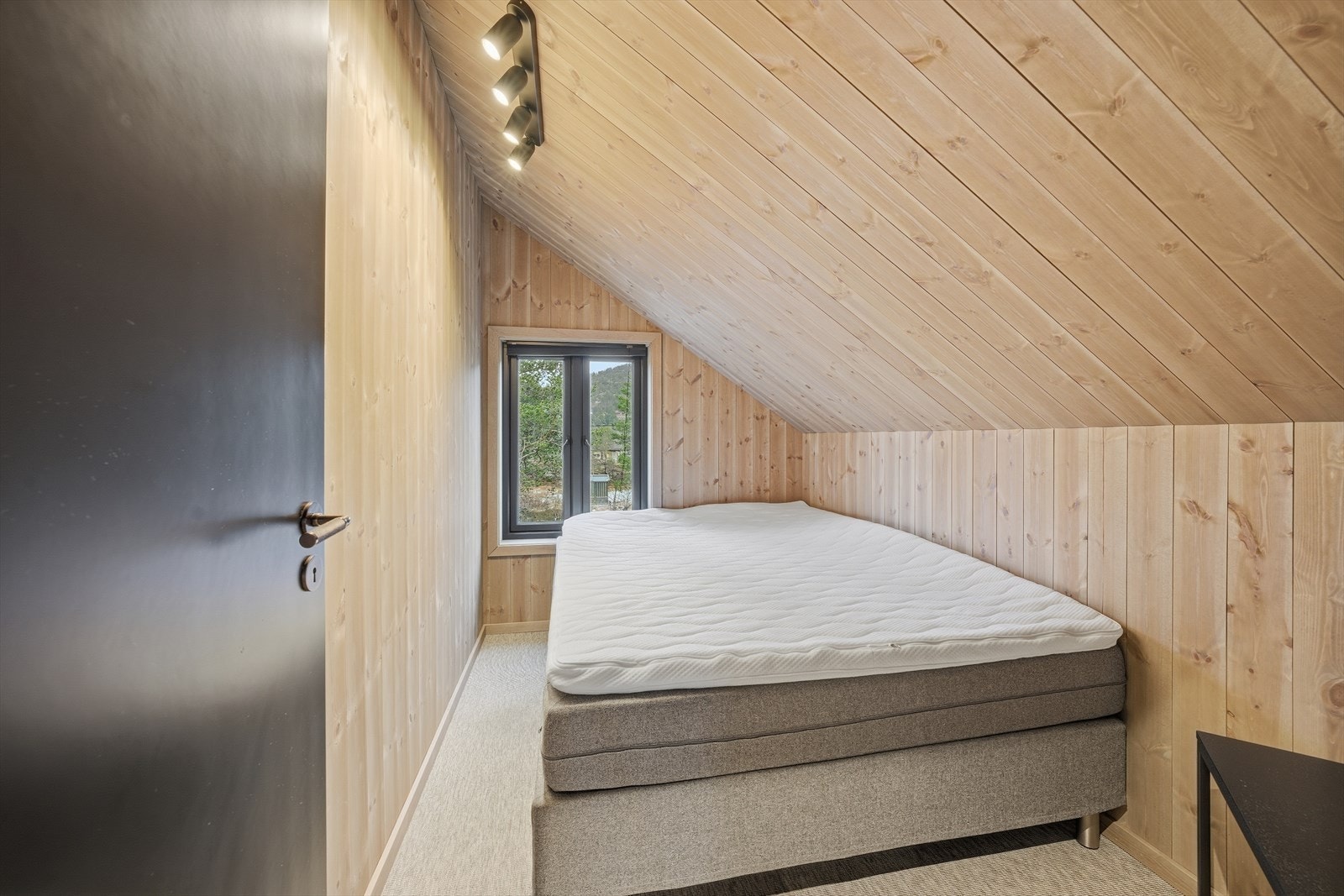 312924_DSC08784.jpg Galleribilde