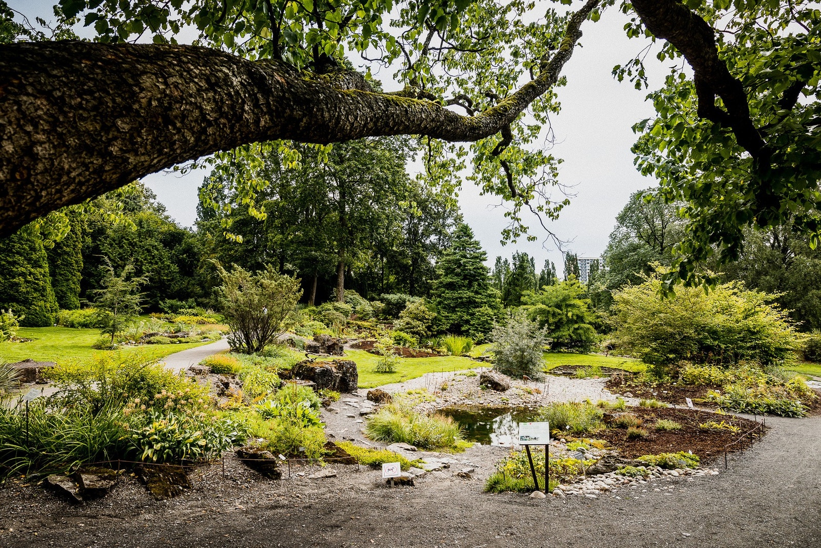Botanisk Hage ligger få minutter gange fra leiligheten. Galleribilde