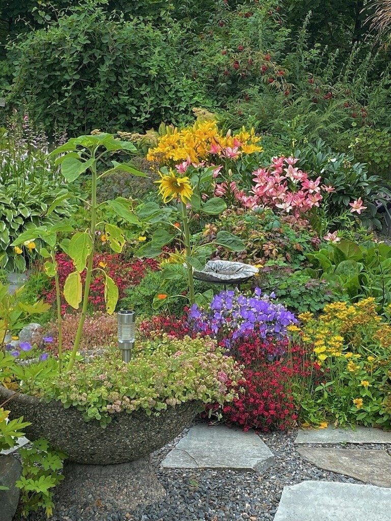 Et rikt og variert planteliv skaper en frodig og levende hage. (Selgers private bilde) Galleribilde