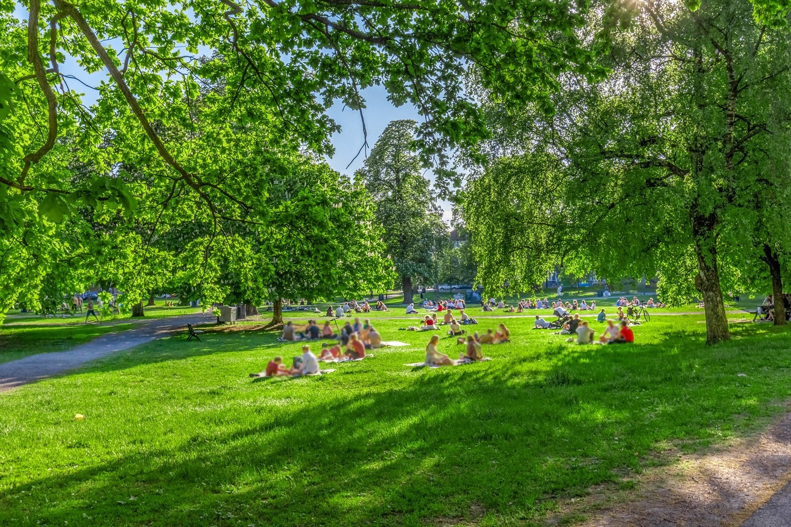 Sofienbergparken - populær bypark med store grøntarealer, lekeplasser, sitteområder og gode solforhold, kun en kort spasertur fra leiligheten. Galleribilde
