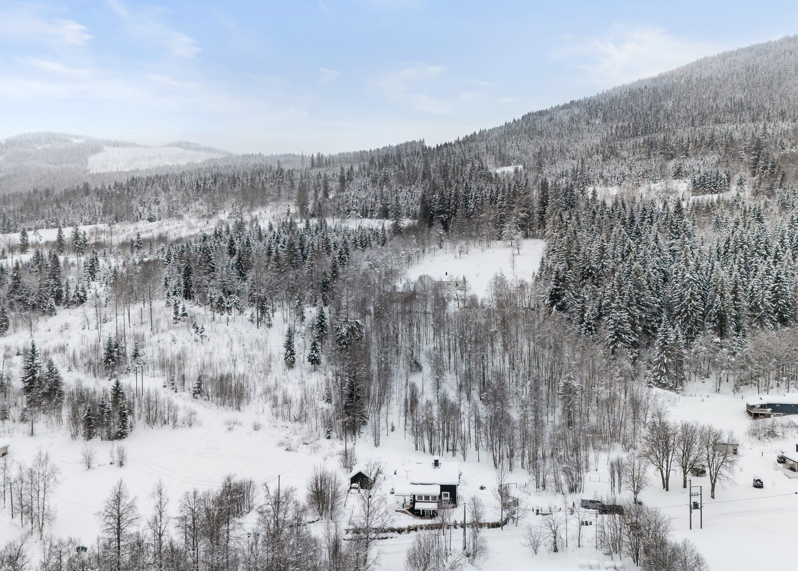Her bor du i landlige og usjenerte omgivelser, med naturen som nærmeste nabo. Galleribilde