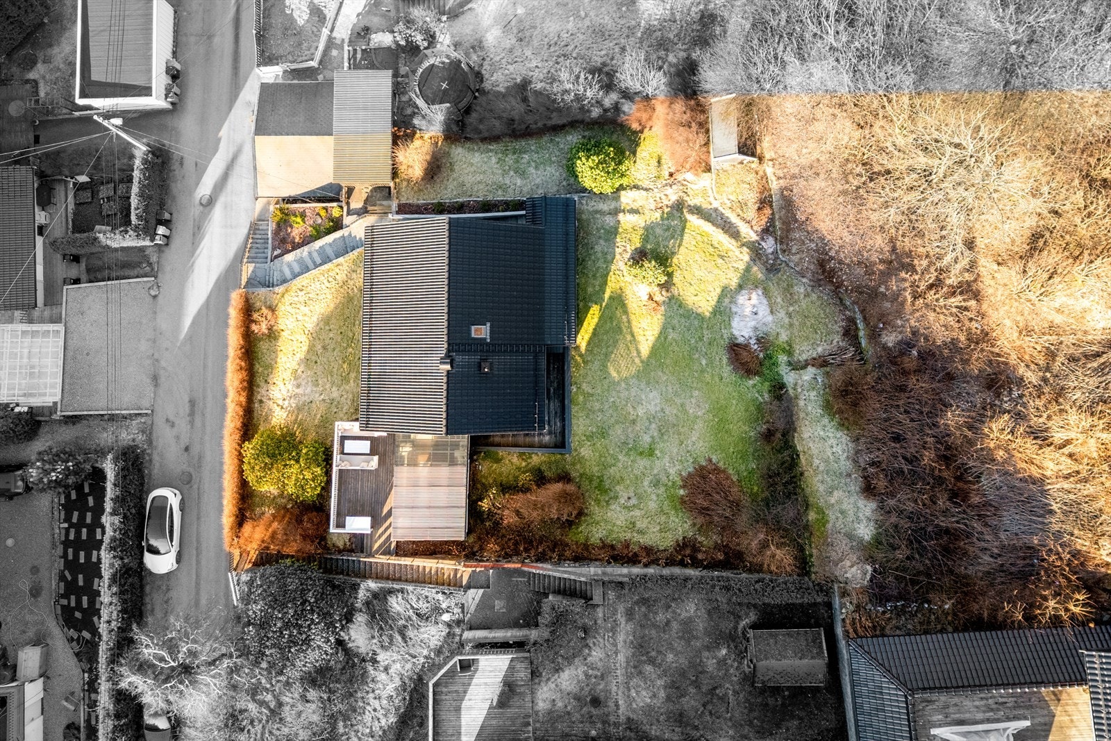 Oversikt over tomten. Galleribilde