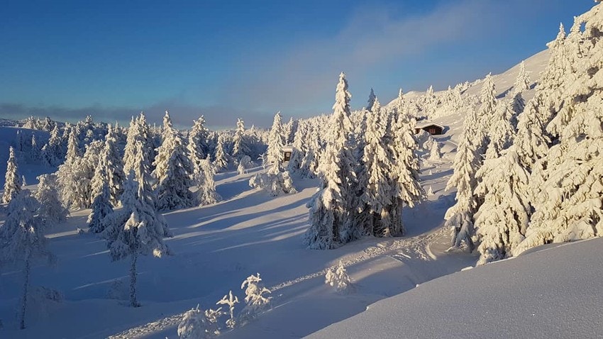 Vinteren er også fin - Bilde fra selgers arkiv Galleribilde