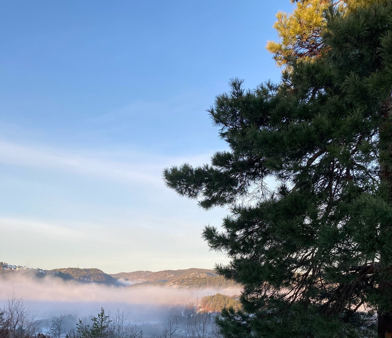 Selgers egne bilder (2).jpg Galleribilde