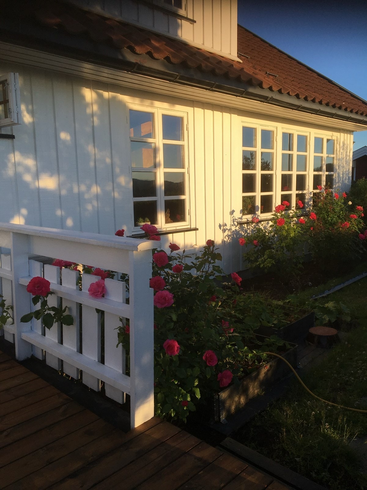 Selgers egne bilder (10).jpg Galleribilde