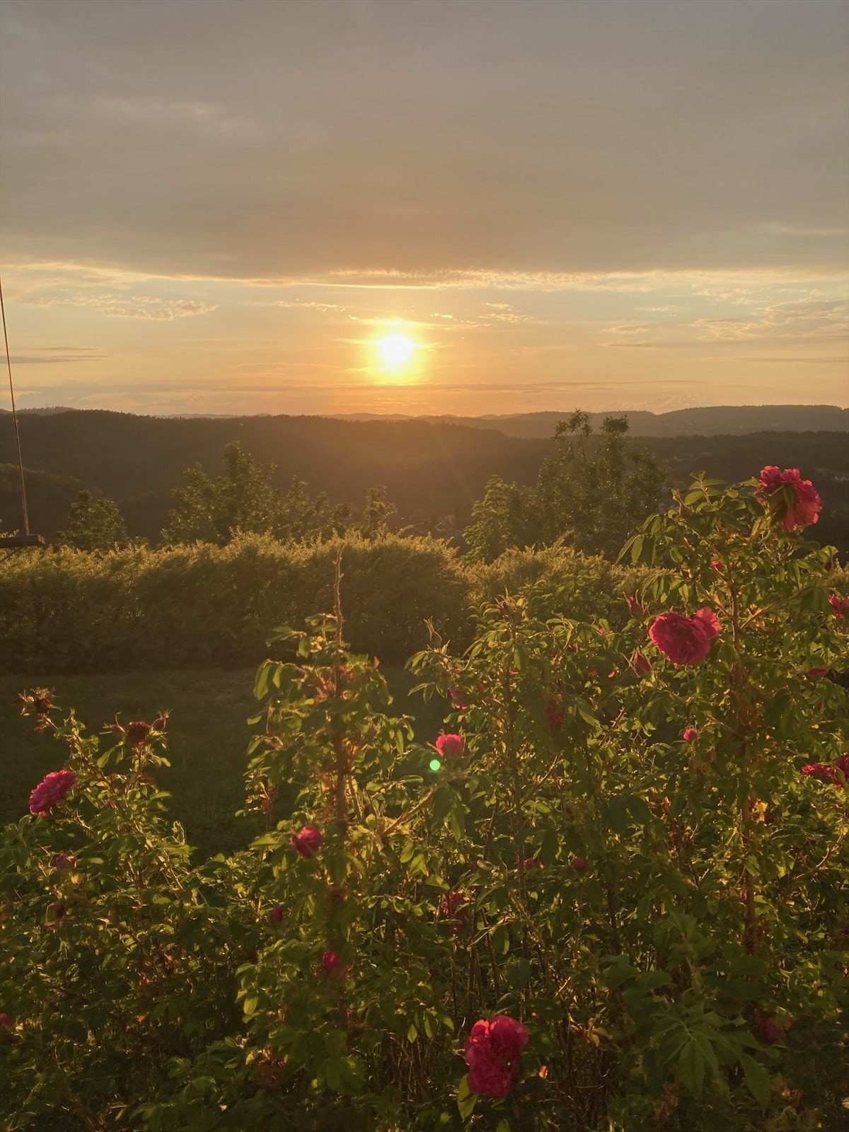 Selgers egne bilder (7).jpg Galleribilde