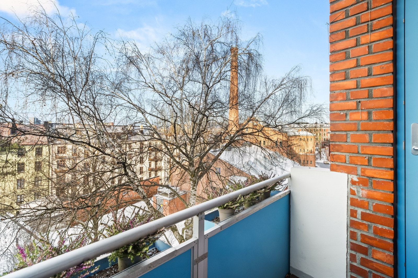 Gode solforhold med ettermiddagssol. Galleribilde