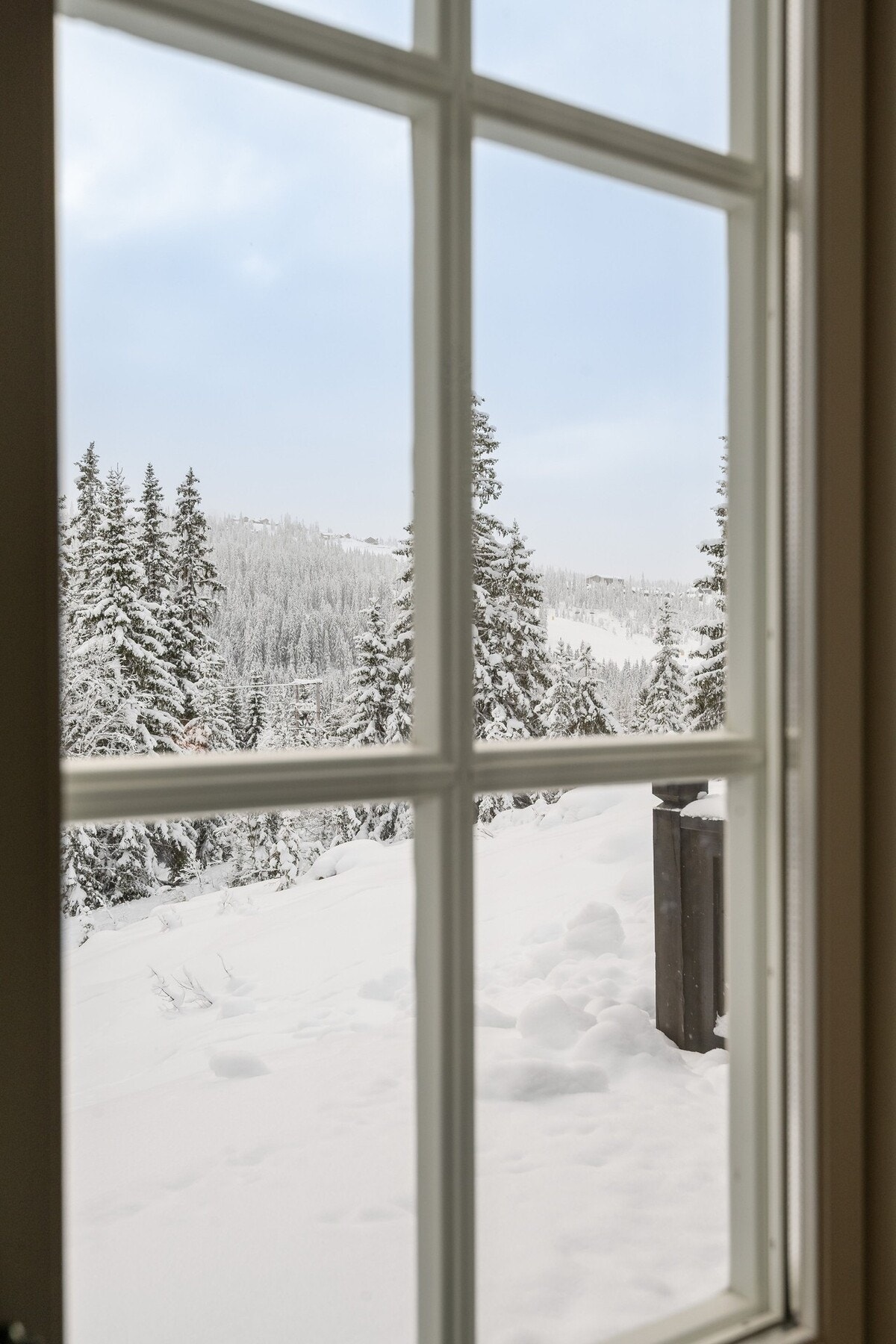 Fantastisk utsikt! Galleribilde