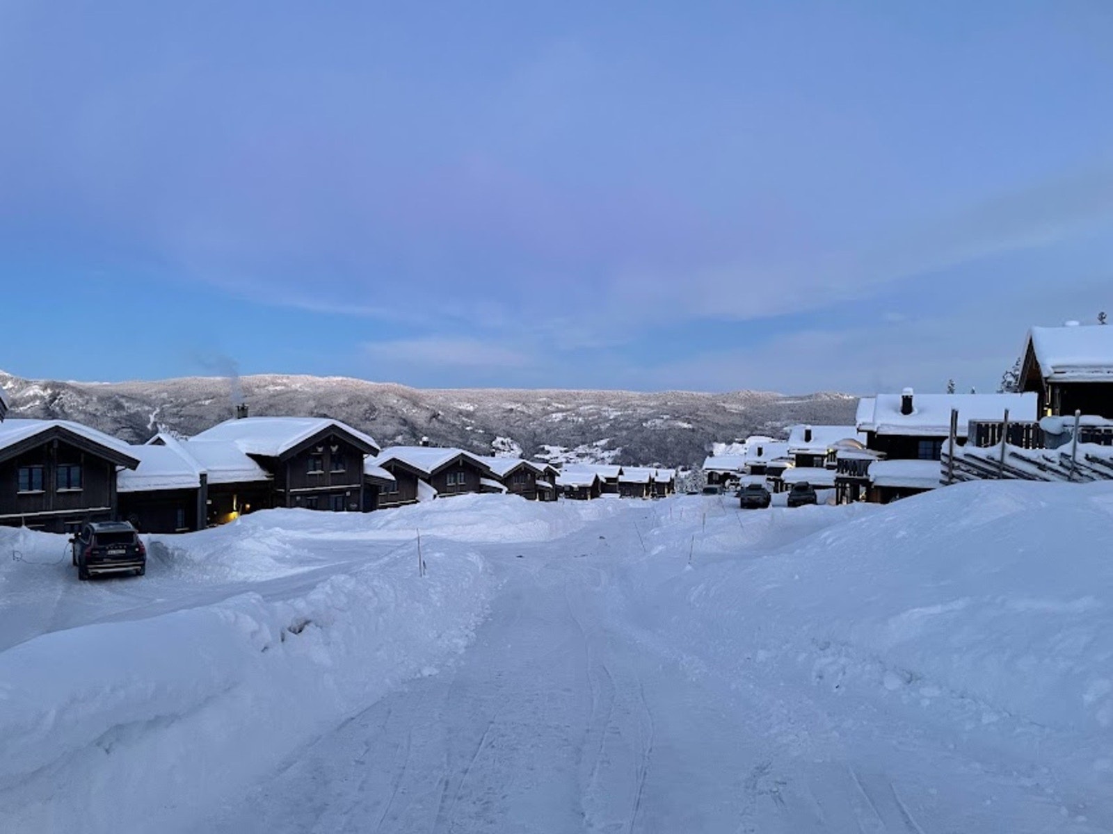 Selgers bilde. Galleribilde