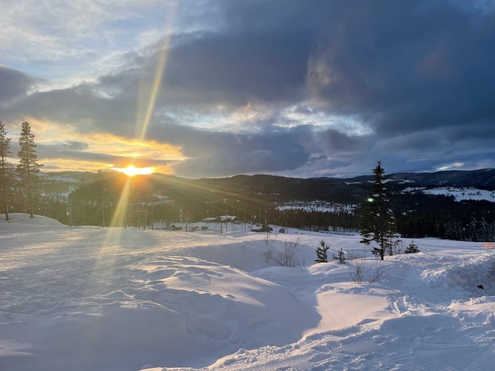 Selgers bilde. Galleribilde