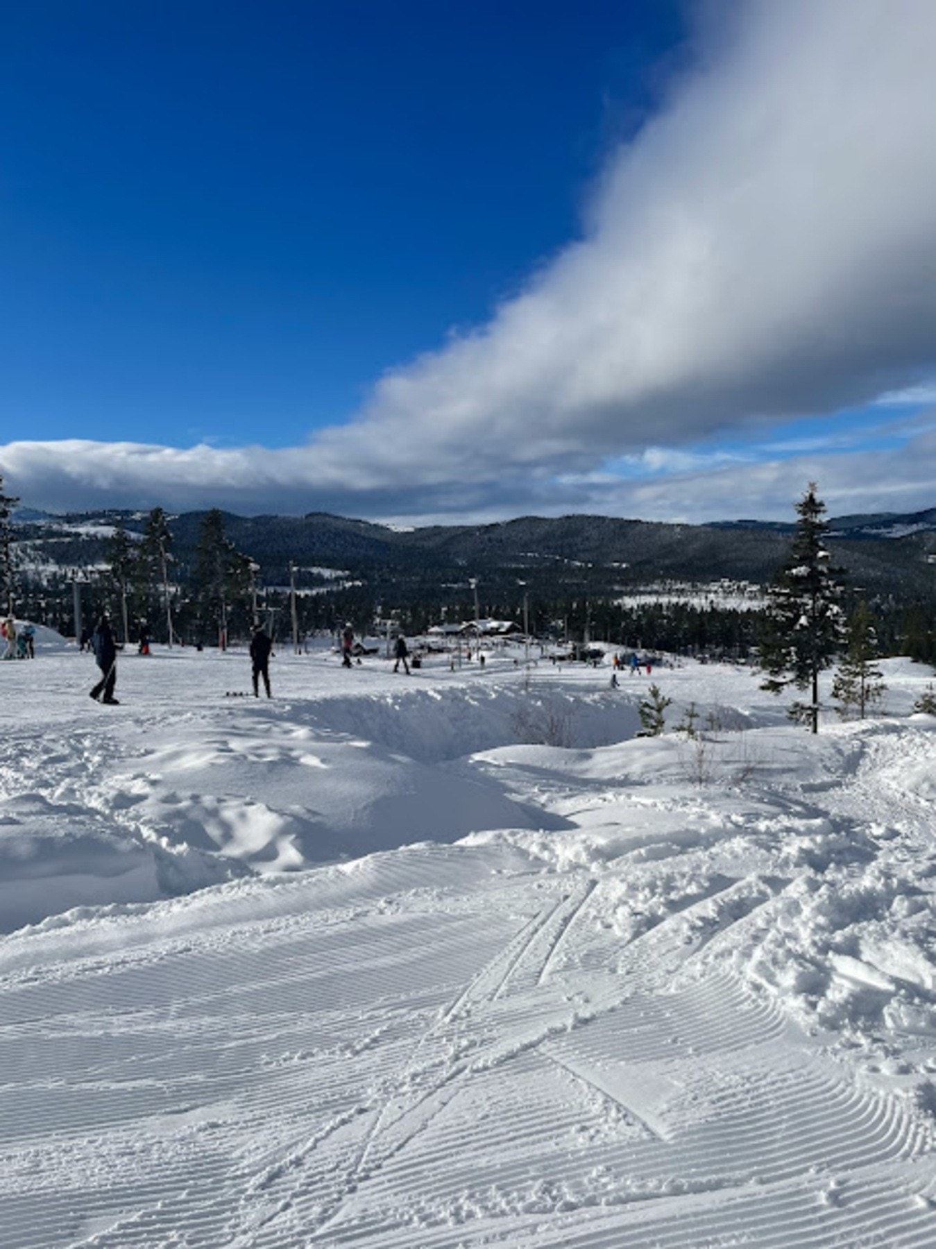 Selgers bilde. Galleribilde