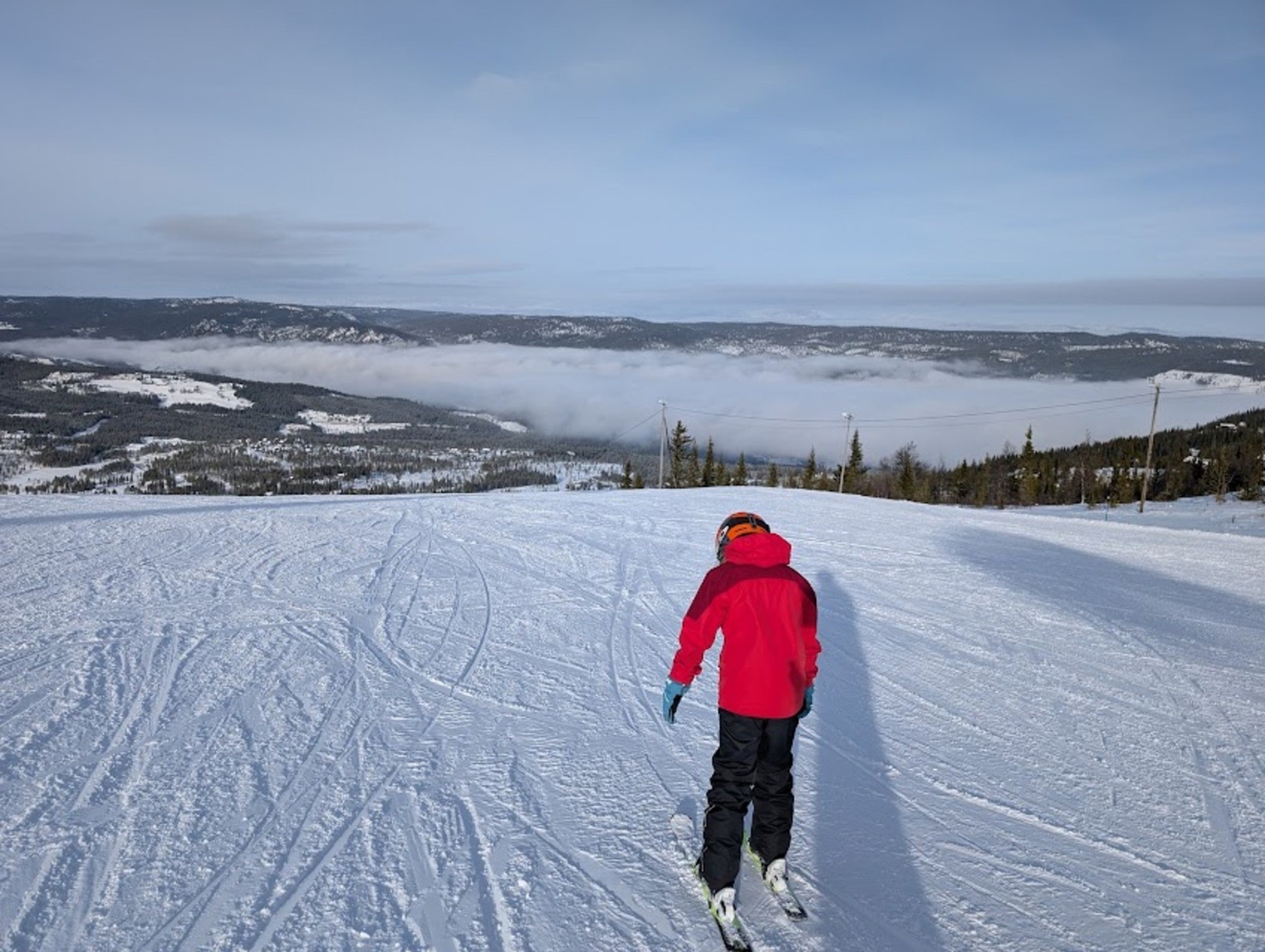 Selgers bilde. Galleribilde