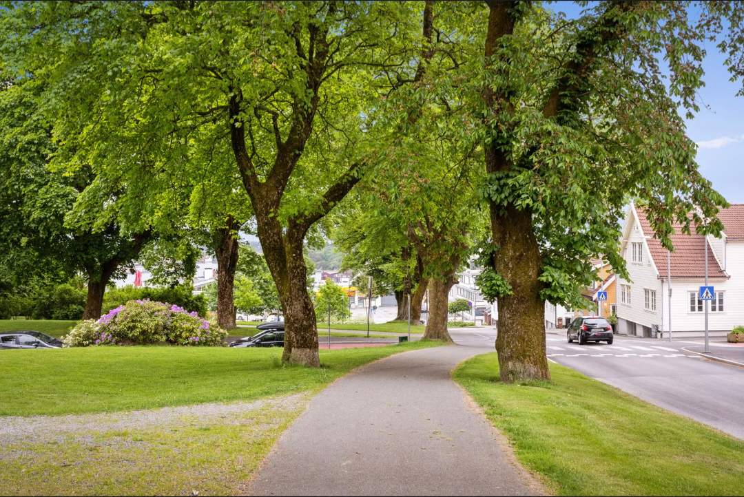 Nærområdet Galleribilde