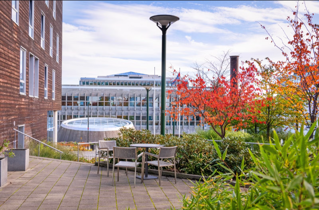 Nærområdet Galleribilde