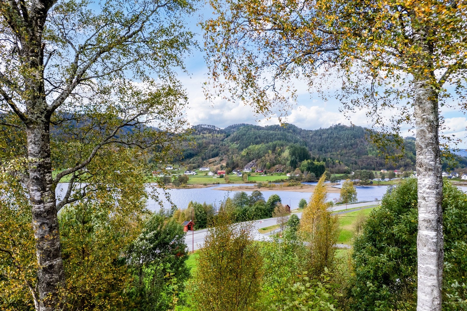 Flott utsikt Galleribilde