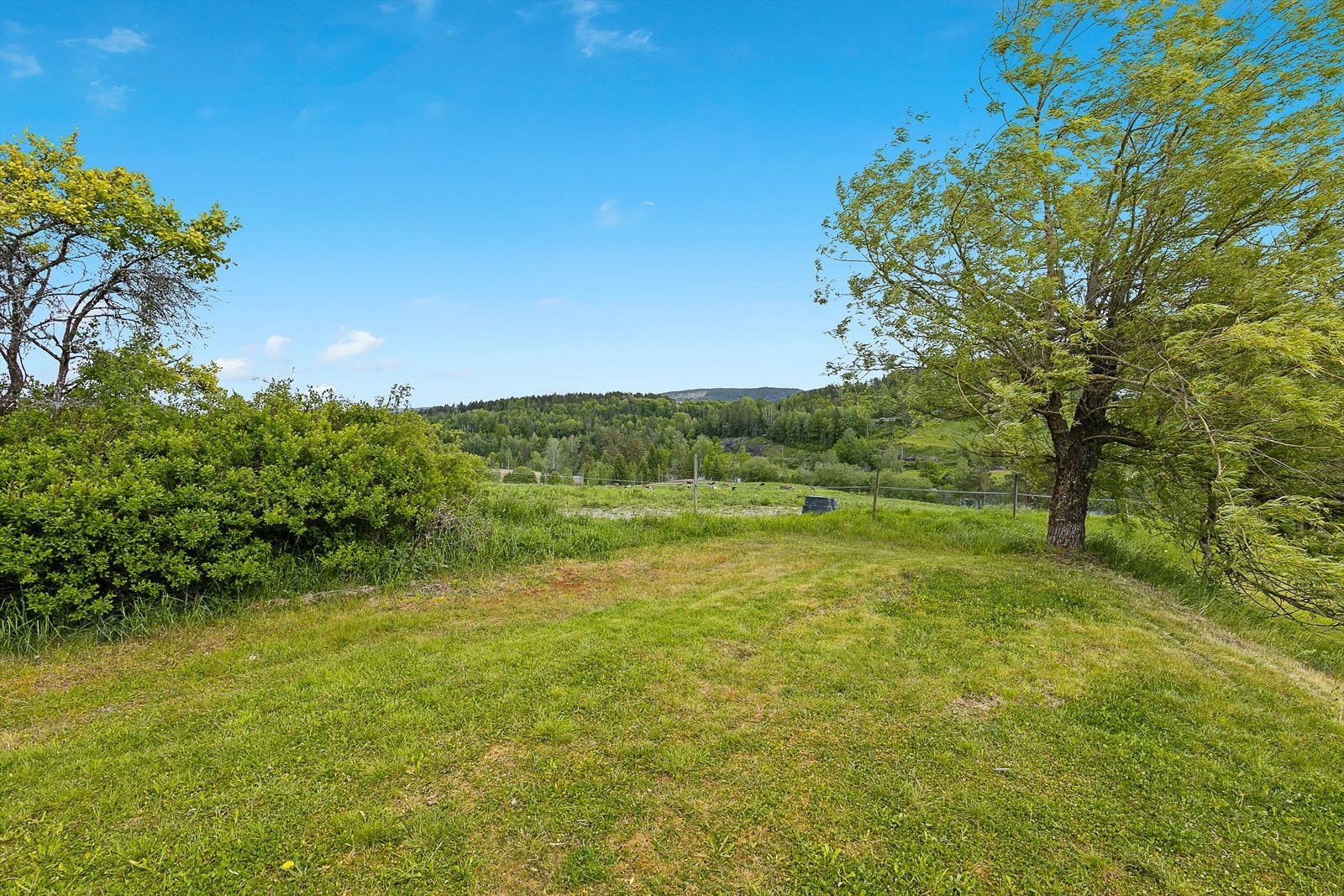 Barnevennlig hage på flere sider av boligen Galleribilde