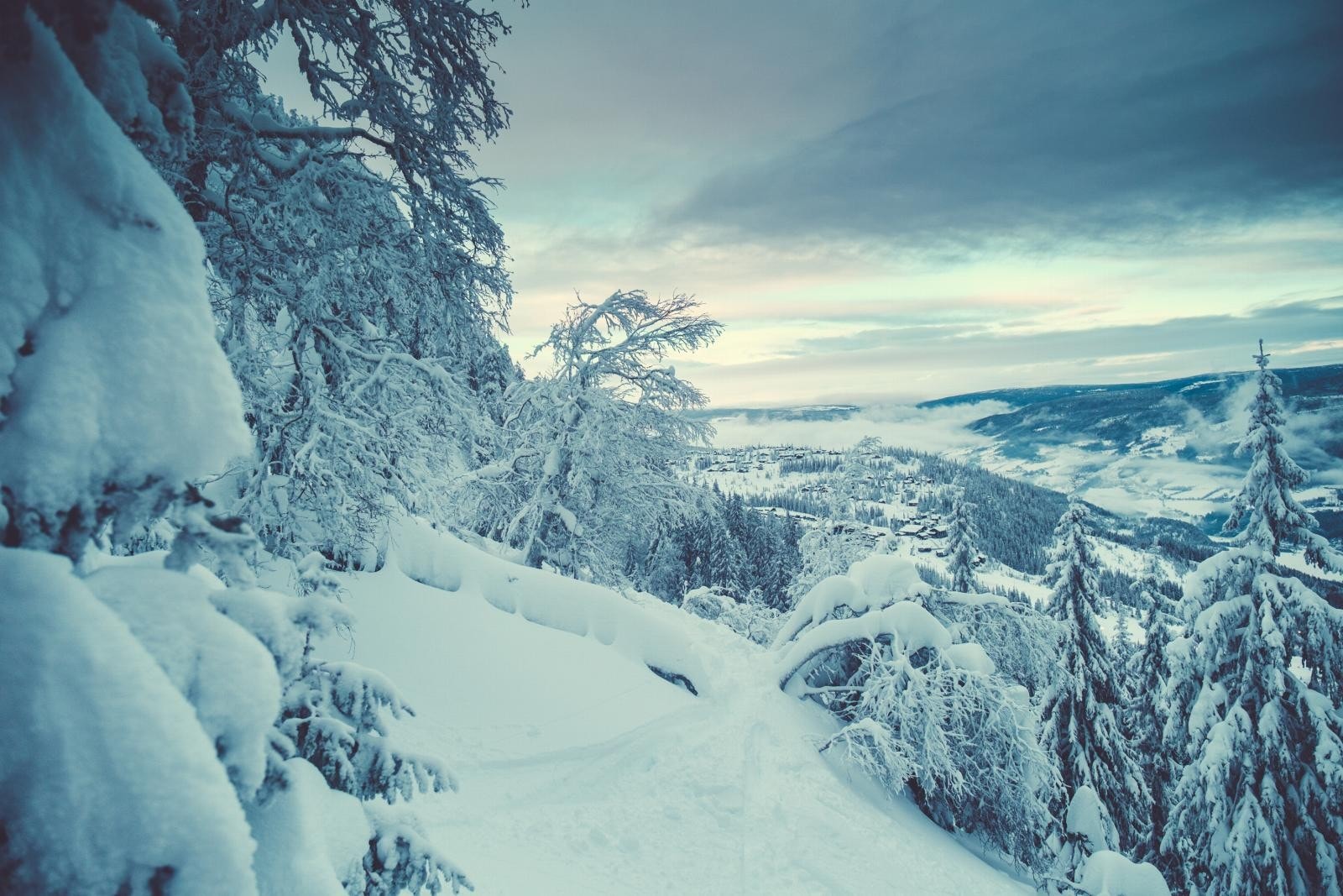 Utfordrende kjøring utenfor løypene samt utallige steder for skogsløyper til barna. Galleribilde