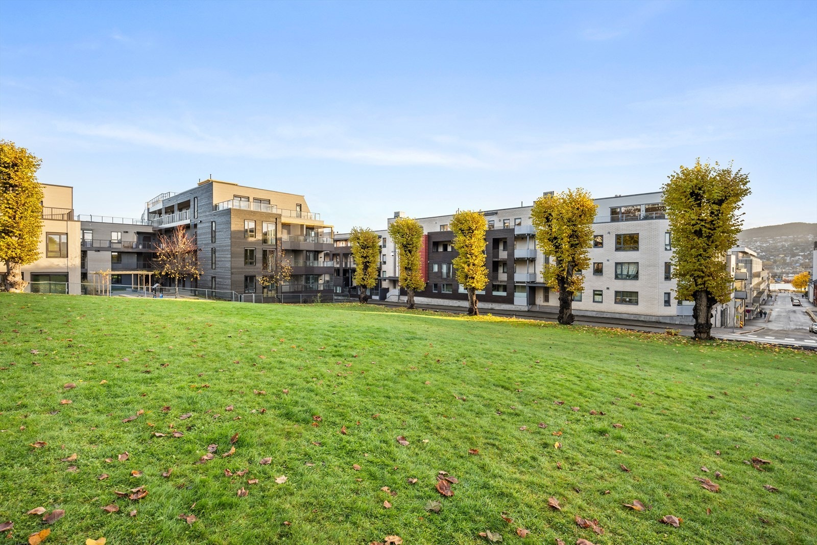 Engene park ligger rett ved Galleribilde