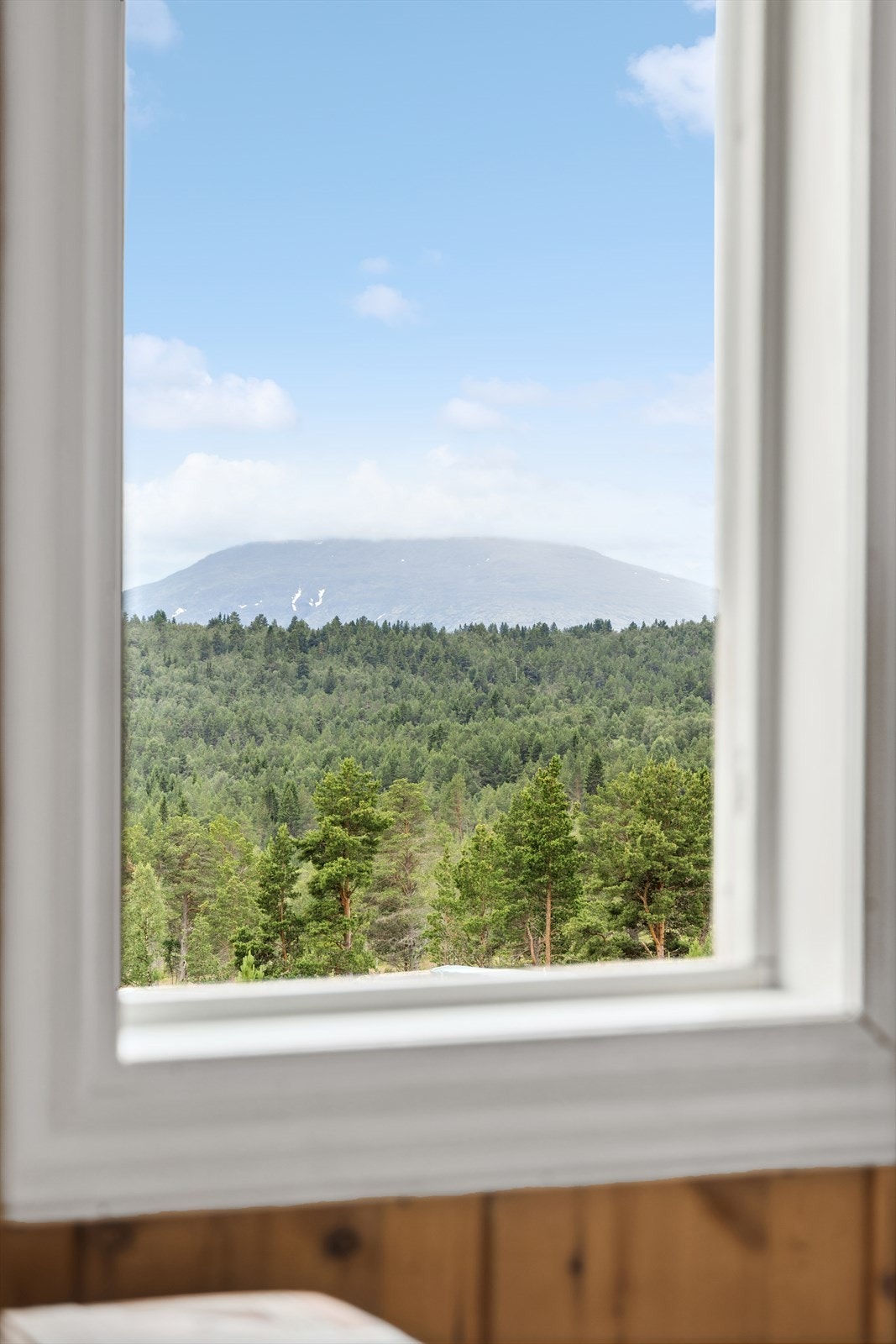 Utsikt mot Tron Galleribilde