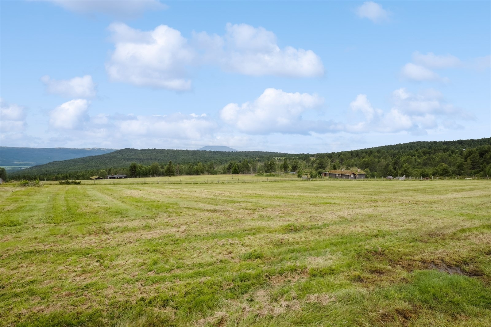Utsikt fra tomta Galleribilde