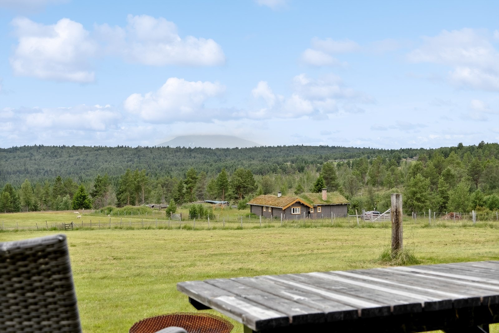Åsan er kjent for sin vakre natur, og på sommeren er det kort vei til turstier, fjell og sykkeltraseer, perfekt for friluftsliv. Galleribilde