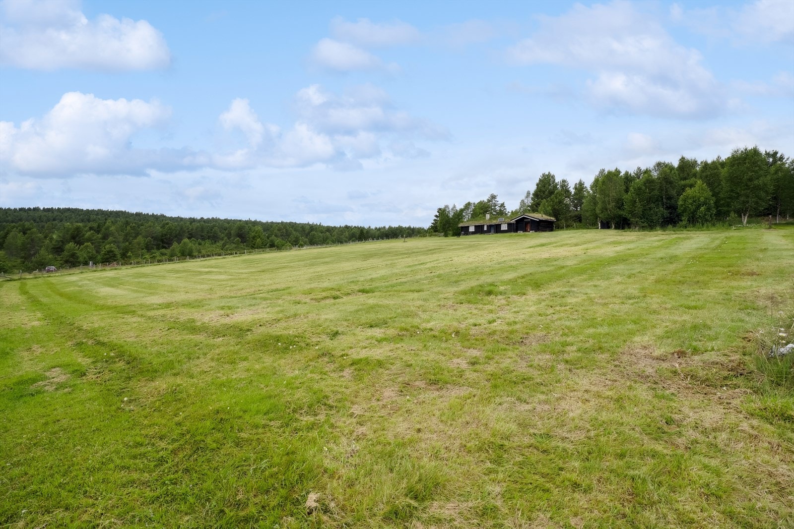 Eiendommen ligger ut mot dyrket mark. Galleribilde