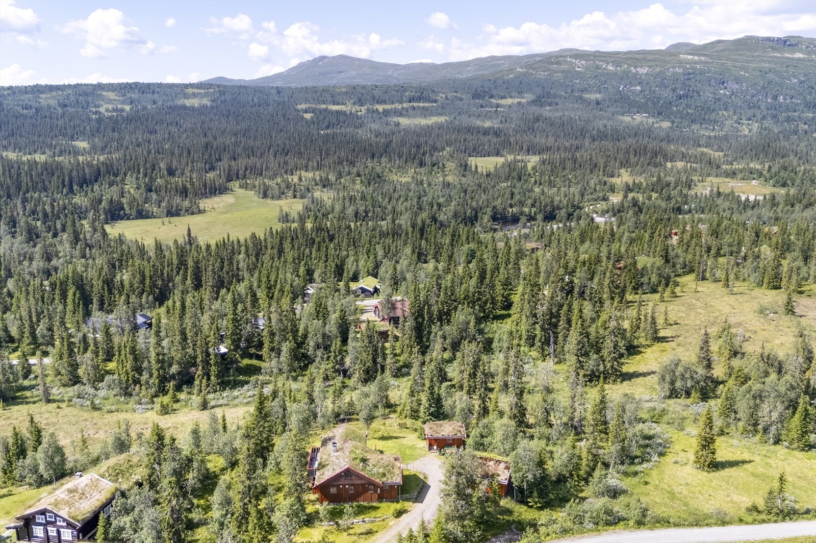 Hytta ligger skjermet og fint til, med skiløyper rett i nærheten. Galleribilde