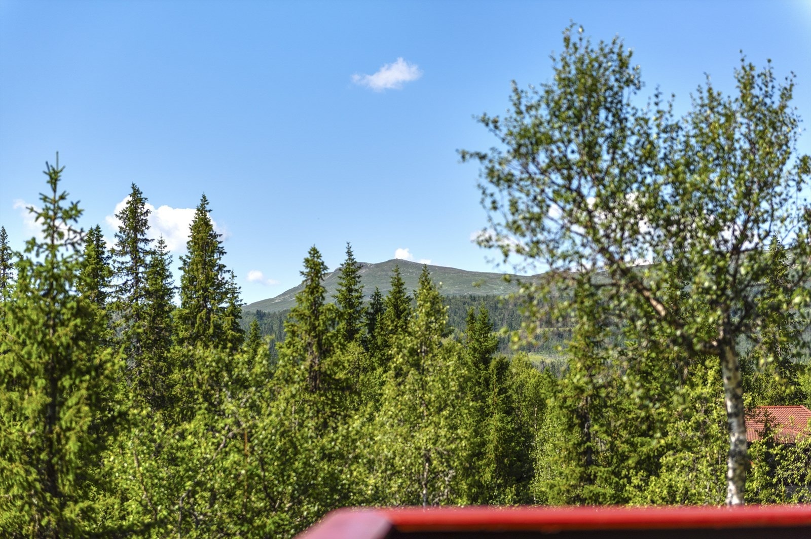 Utsikt fra verandaen. Galleribilde