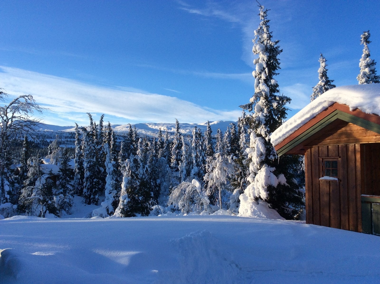 Vinterparadis. Selgers private bilde. Galleribilde