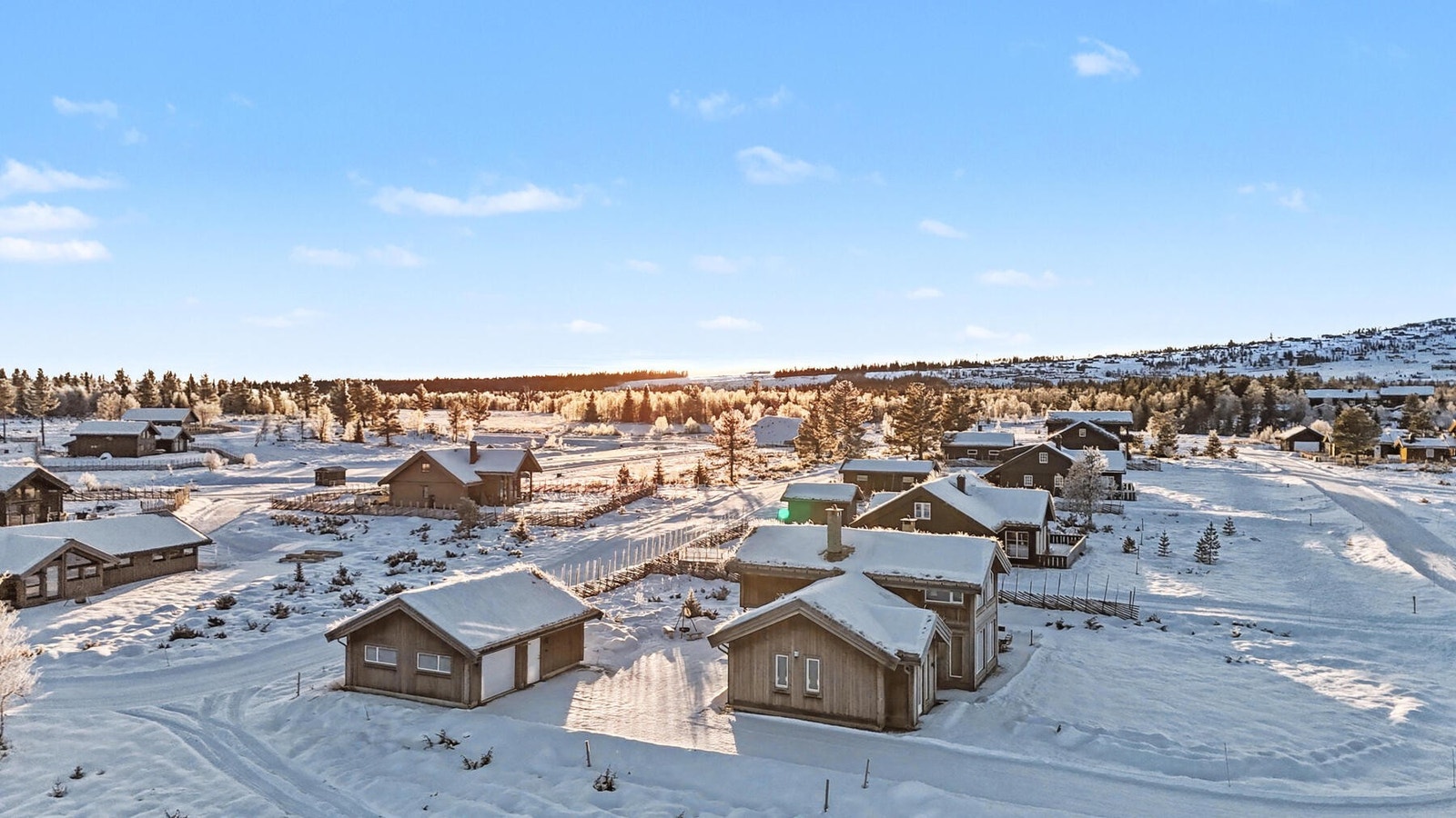 Velkommen til fjells og på visning! Galleribilde