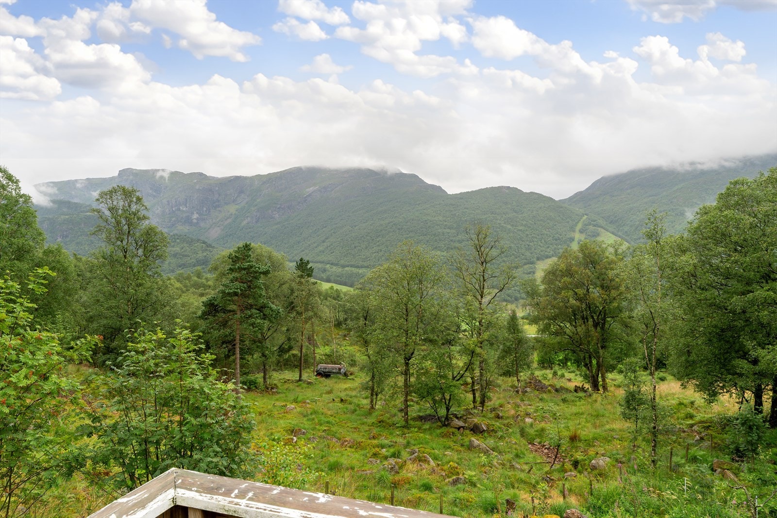 objpict_1320620839215845_0.jpg Galleribilde