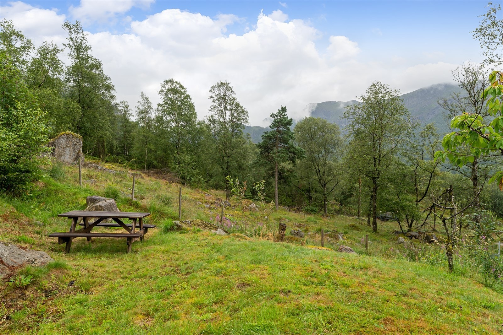 God plass rundt hytta, åpent og fritt! Galleribilde