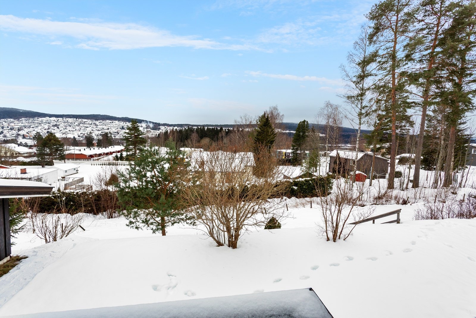 Utsikt over den snødekte hagen som vender nedover mot syd. Galleribilde