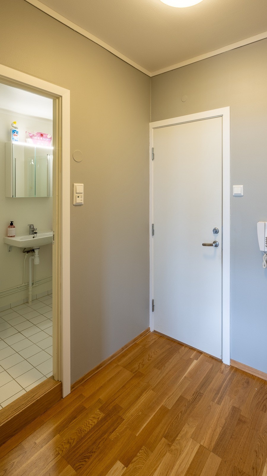 Inngangsdør og inngang til bad Galleribilde