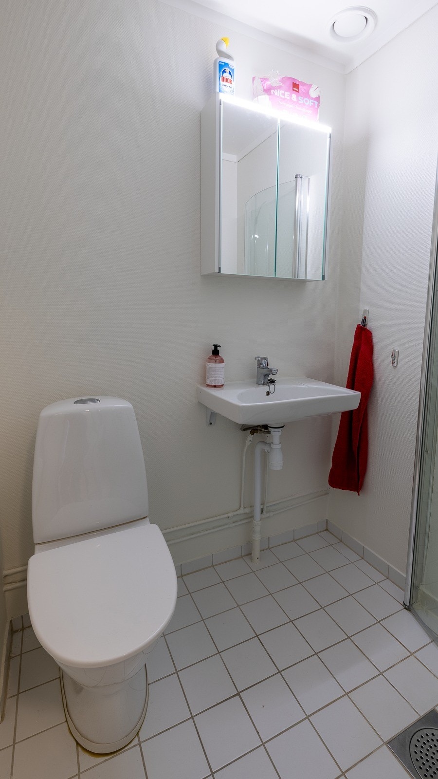 badet har toilett, vask, speilskap og dusjhjørne Galleribilde