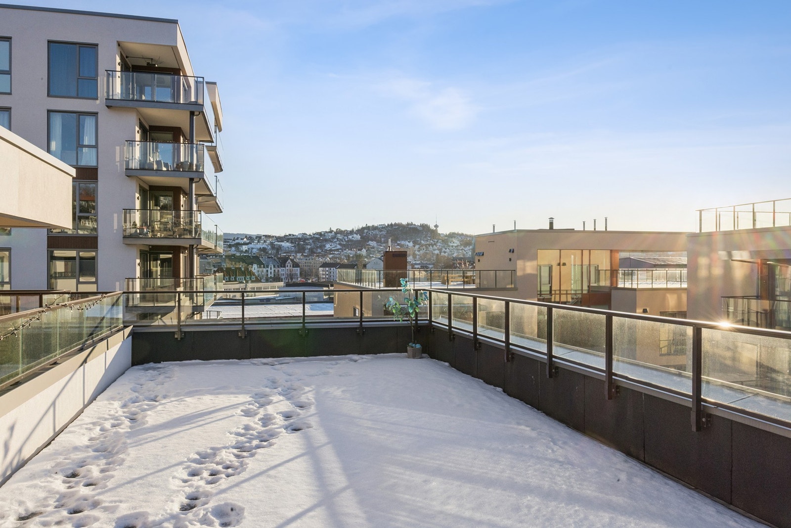 Beboerne har tilgang til en felles takterrasse. Galleribilde