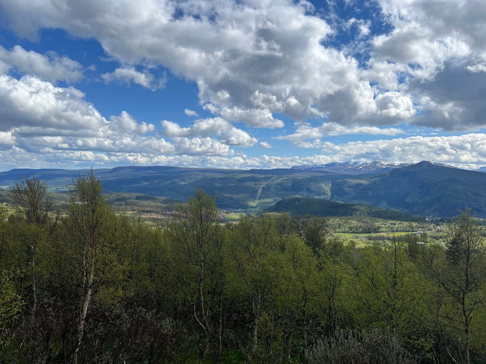 Utsikt fra eiendommen Galleribilde