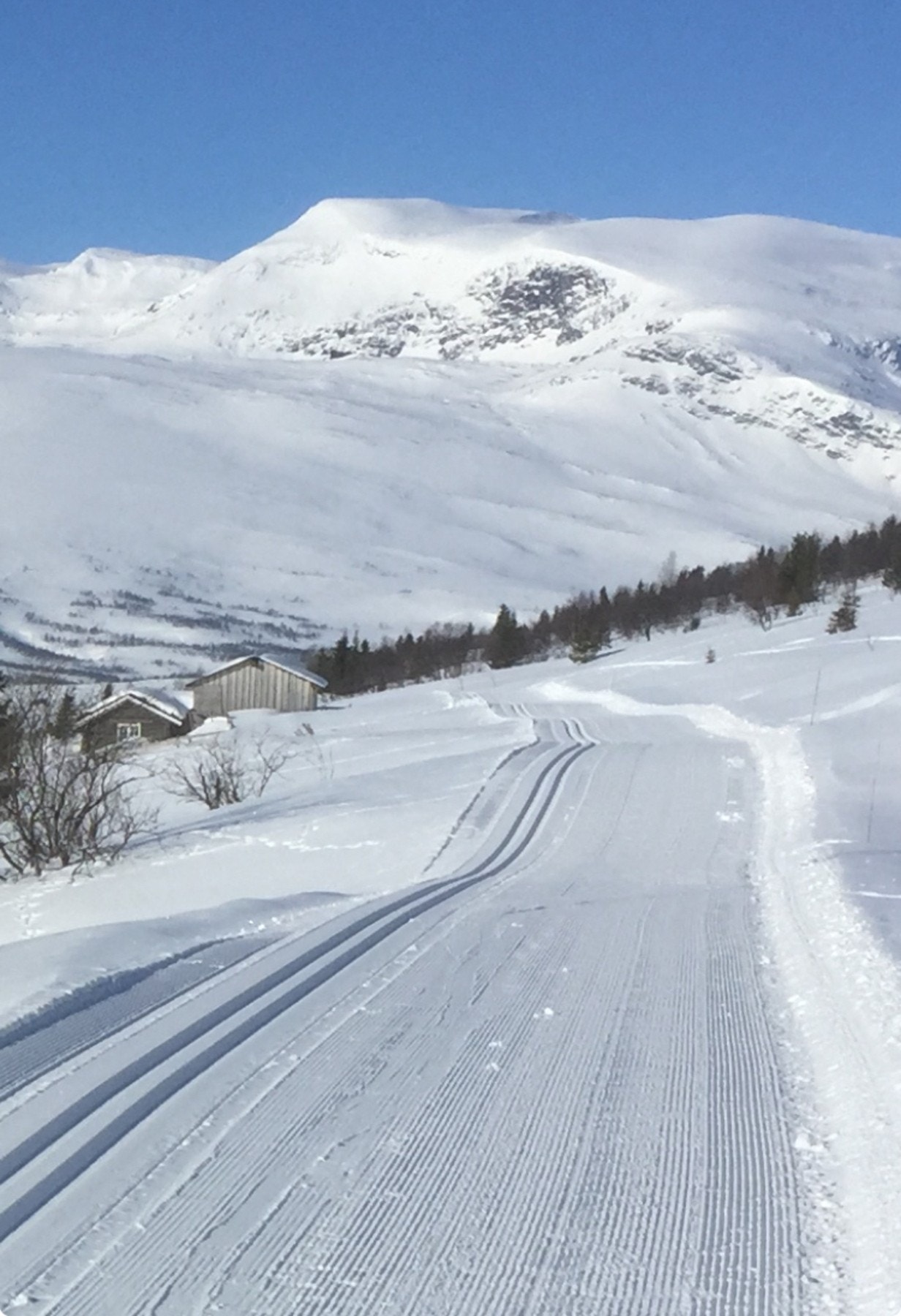 Slettefjell skiløyper, rett bak hytta Galleribilde