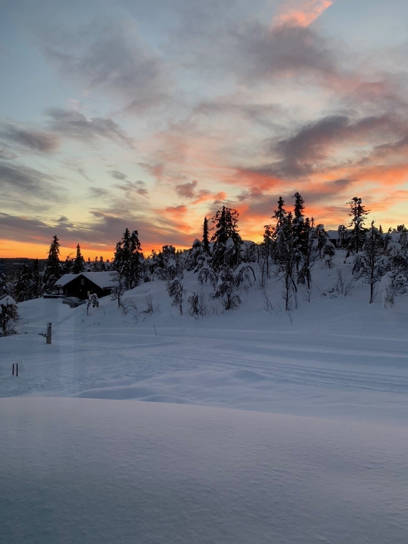 Vinterbilde som viser skiløypa nederst på tomta Galleribilde