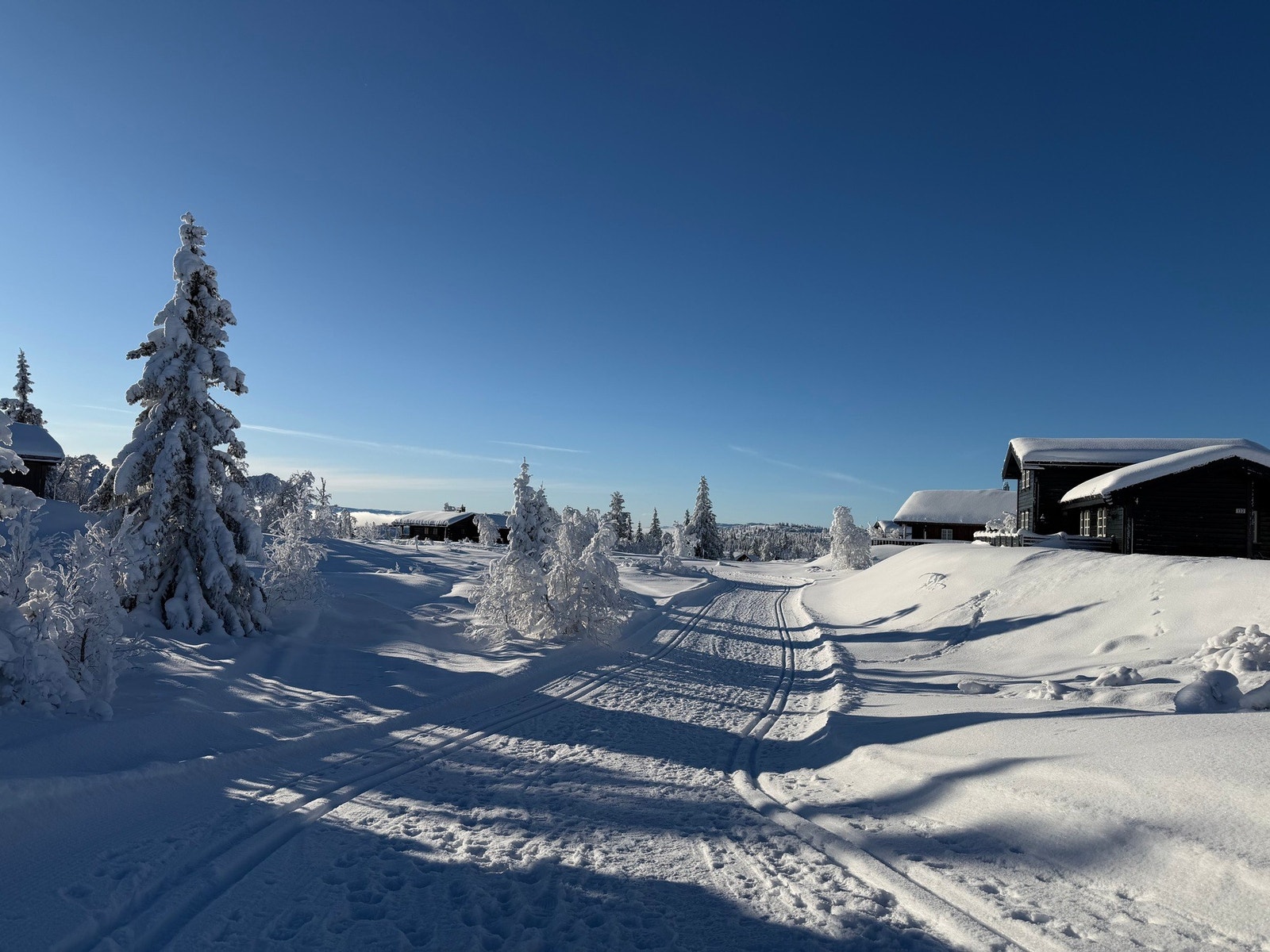 Gode turmuligheter både sommer som vinter. Galleribilde