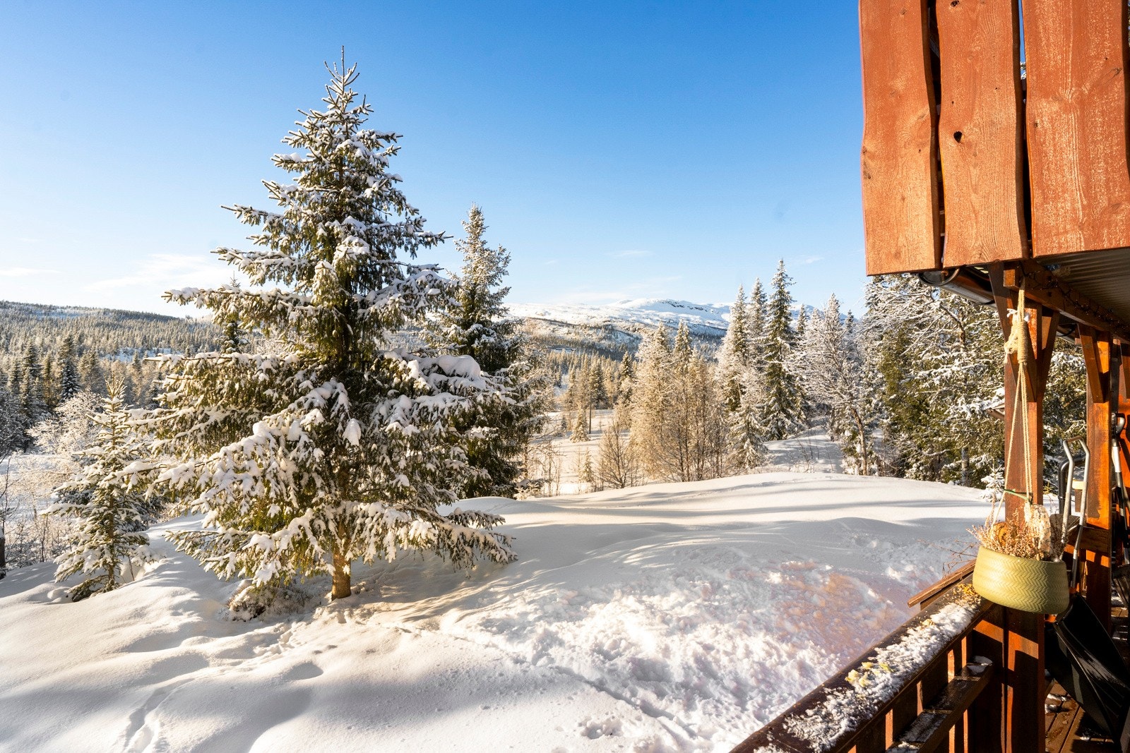 Ext_105 Galleribilde