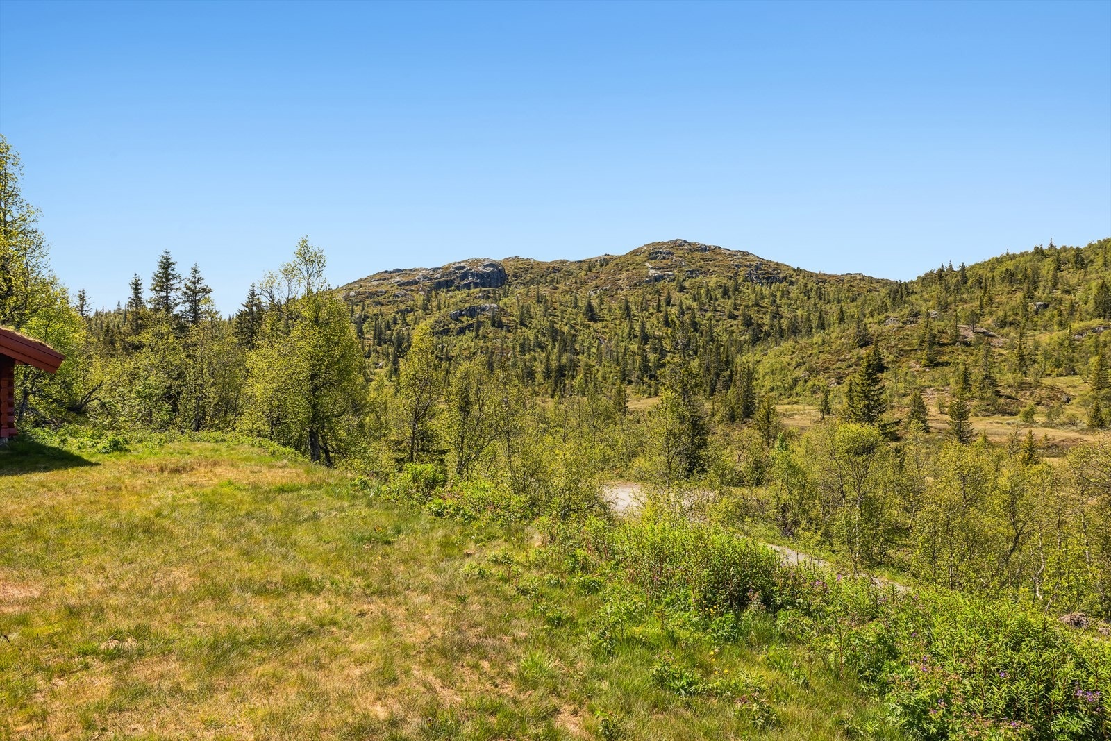 Fra tunet kan du nyte utsikt til Rorgefjell. Galleribilde