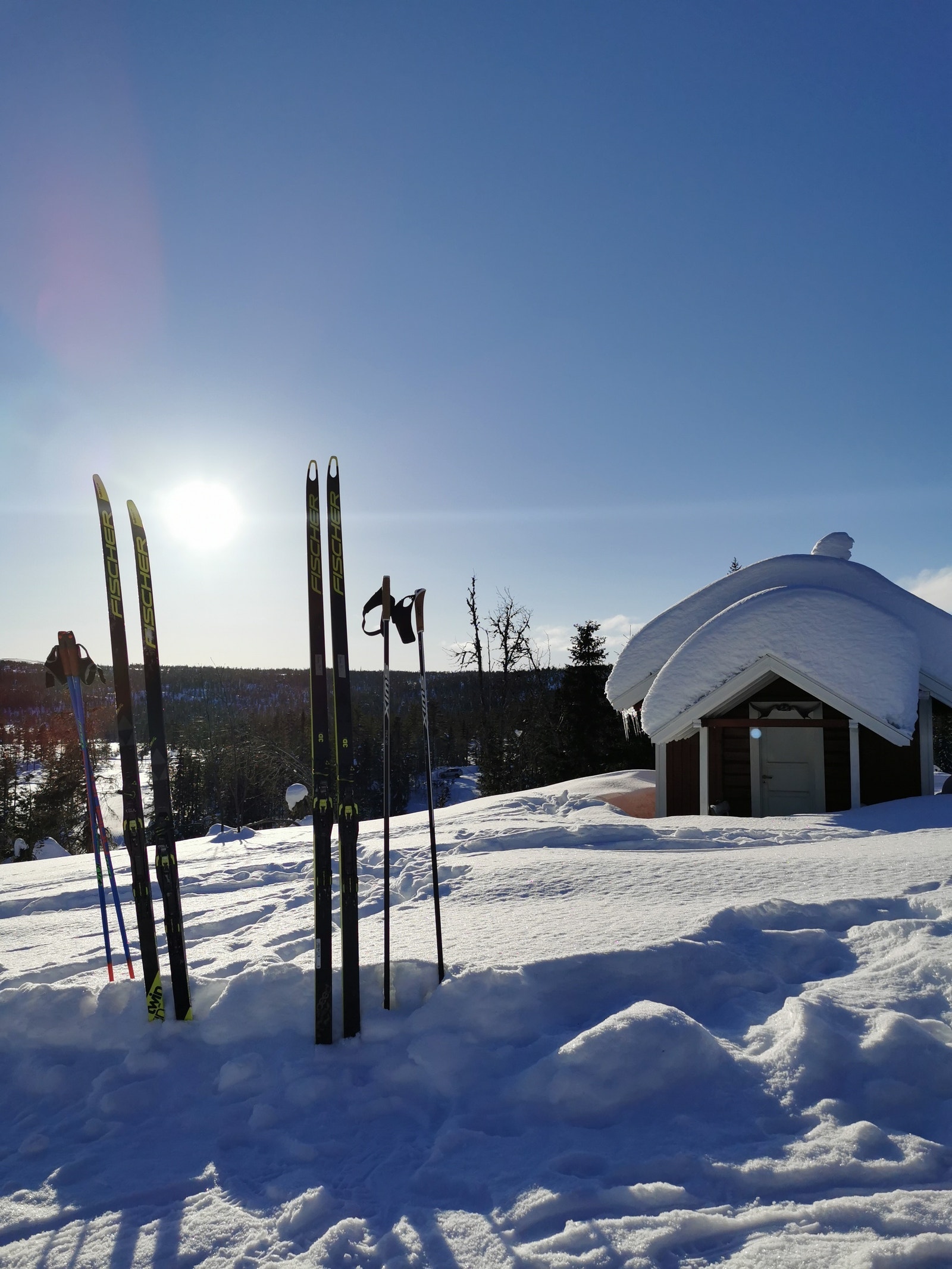 Fra Viksetra, ca 5 km fra Killingtjern Panorama. Flott skitur for hele familien. Galleribilde